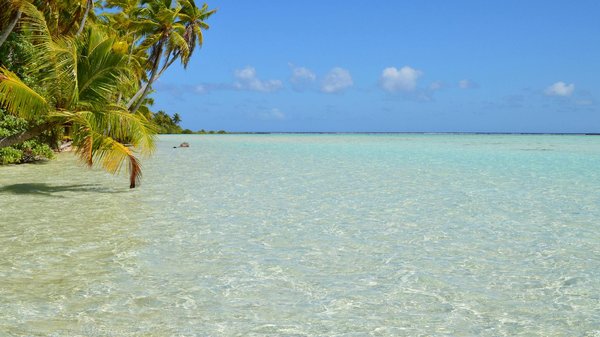 Welke essentiële kampeerspullen moet je meenemen?